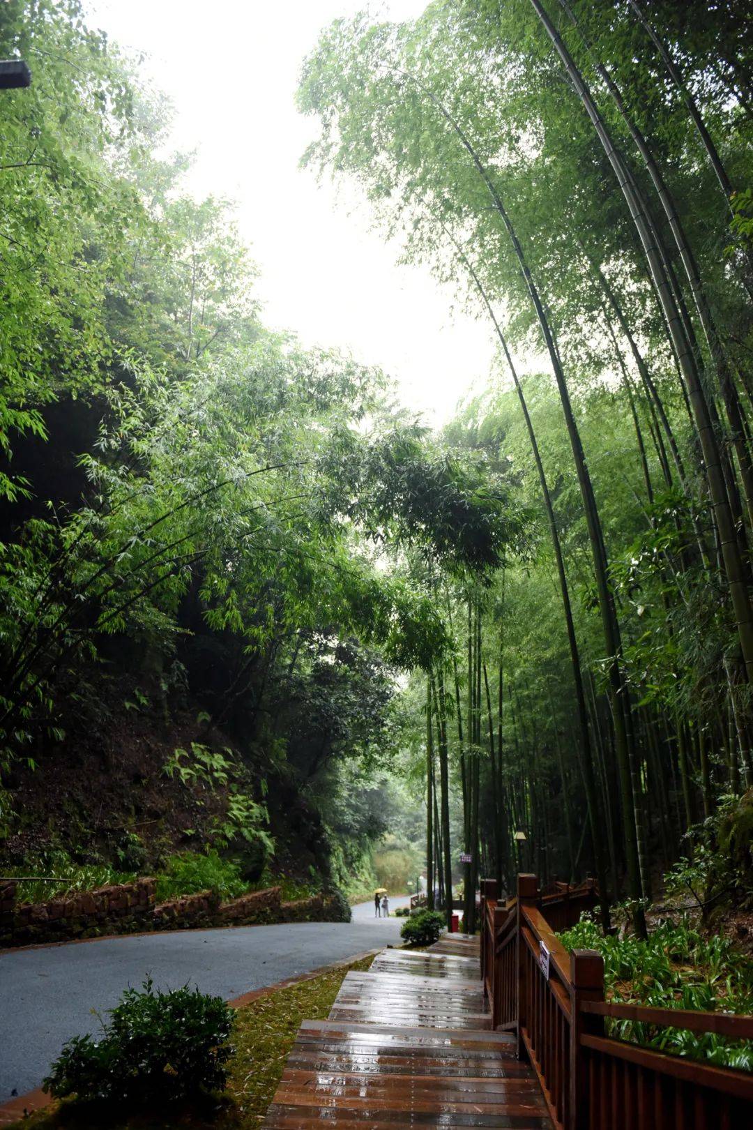 赏景来吧展示丹棱老峨山开山啦来一睹为快