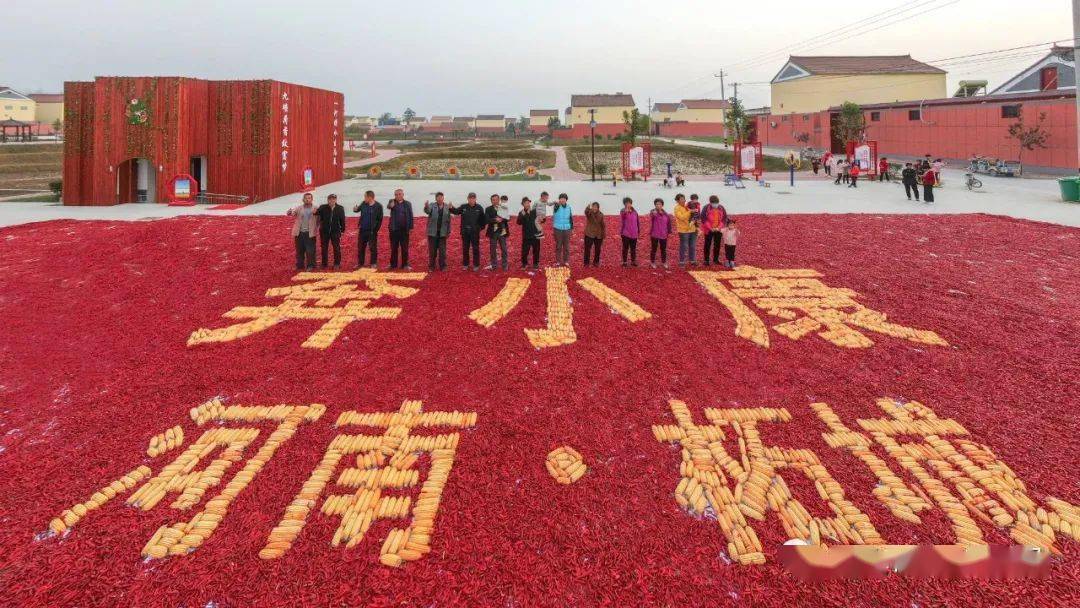 近年来,柘城县委县政府以乡村振兴战略为引领,认真贯彻落实党的强农