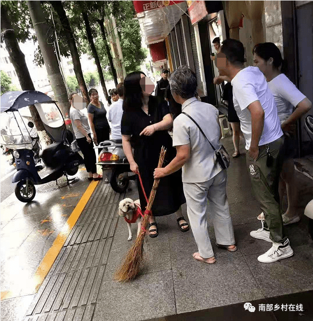 怎么让狗不要在门口拉屎 677a6e7cc5f54fe8bd7a5c127b0fffa5.png