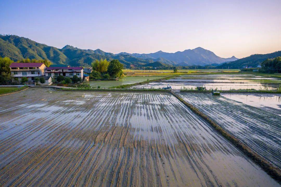 闽北美景浦城富岭镇初夏时节农事忙田间农忙身影宛如美景画卷