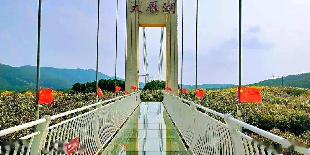 全景式高级声乐设备志惠梦花海的7d玻璃桥全长268米玻璃桥大家都玩得