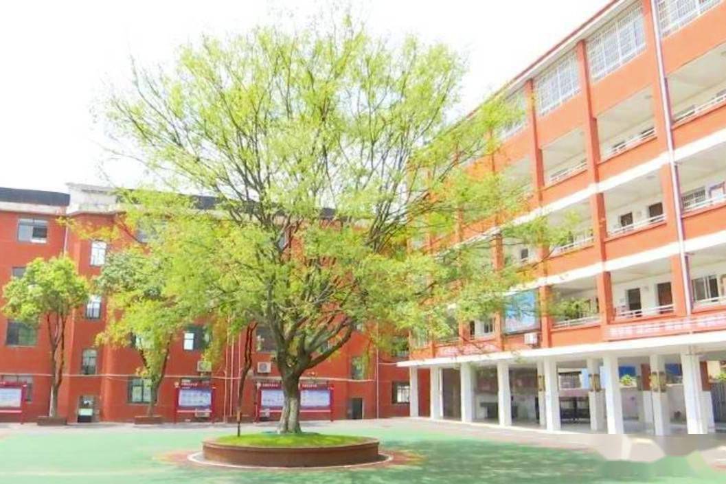 武汉市江夏区义贞小学积极利用红色资源传播红色文化