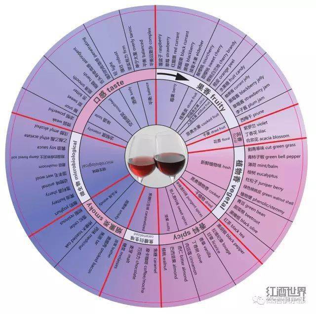 类型图|影响葡萄酒世界的十幅图