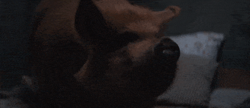 电影|烂片之王尼古拉斯，靠这片翻身？