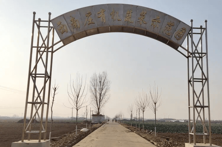 【支部领办合作社】肥城市汶阳镇西南庄村:有机蔬菜,"有机"发展