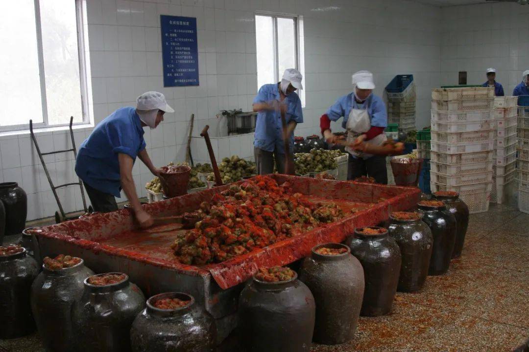 主播说非遗斜桥榨菜制作技艺