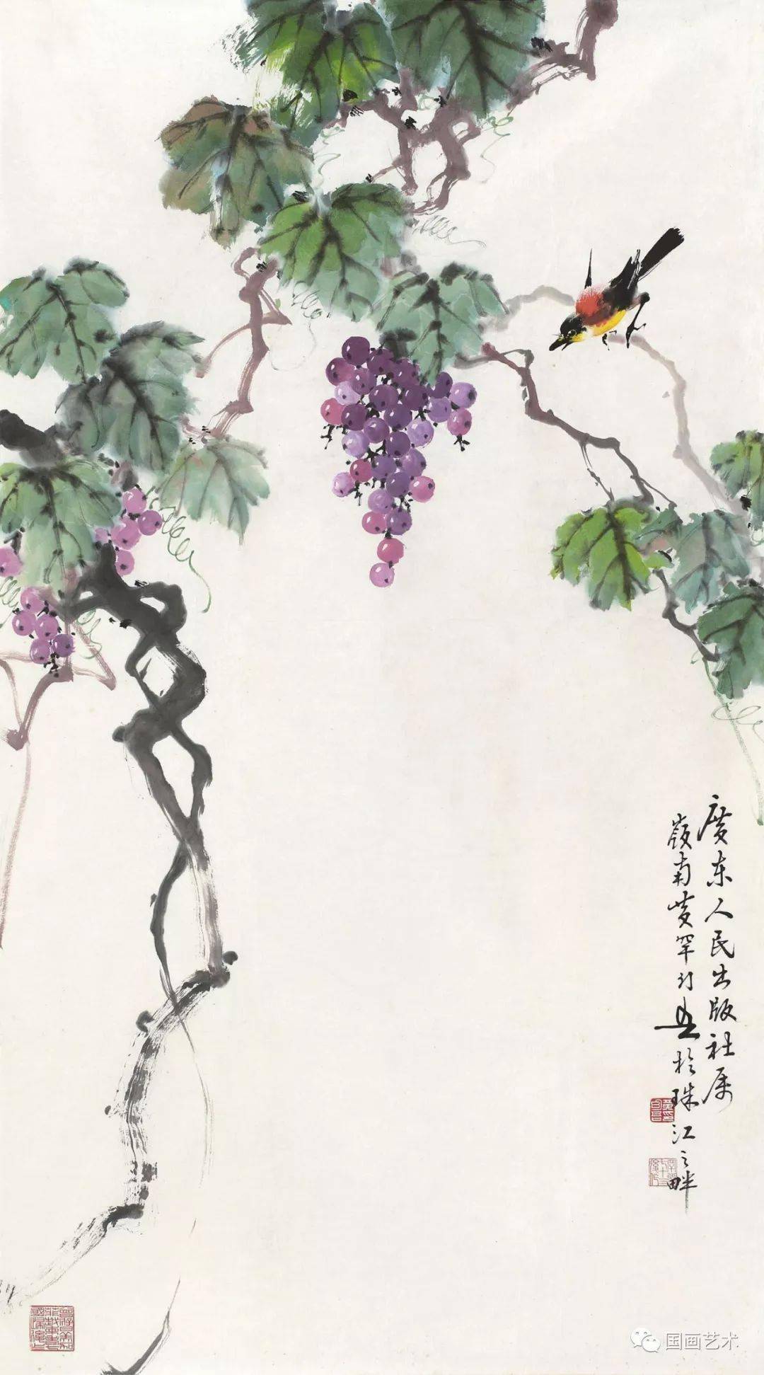 现当代名家黄幻吾笔下的葡萄小鸟