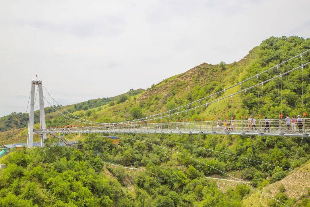 即日起至2021年7月22日 *特价商品一经售出不退不换 中华福寿山景区