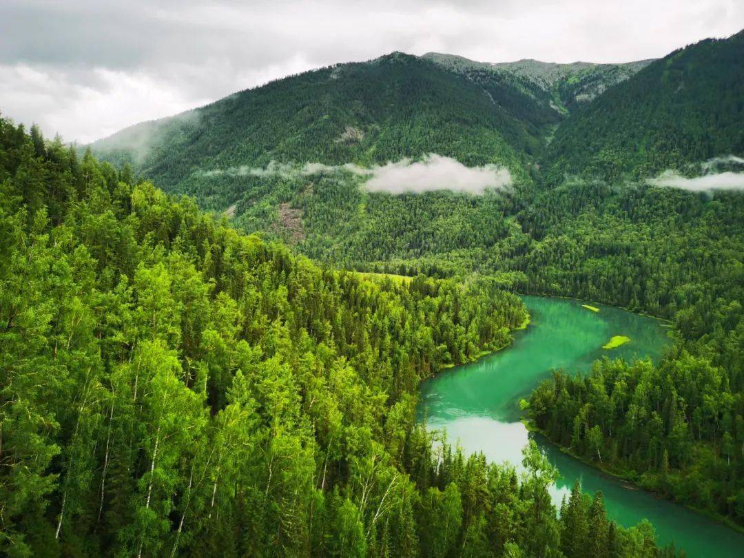 喀纳斯风景区,位于新疆阿尔泰山中段,地处中国与哈萨克斯坦,俄罗斯