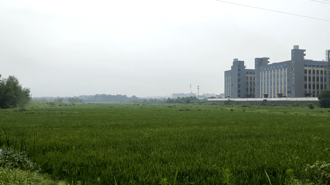 永康各村人口_永康这个村建成旅游景区,2000多名外地人选择住在这