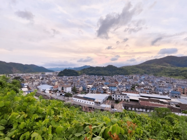 跟着万里学院的大学生走进东溪村