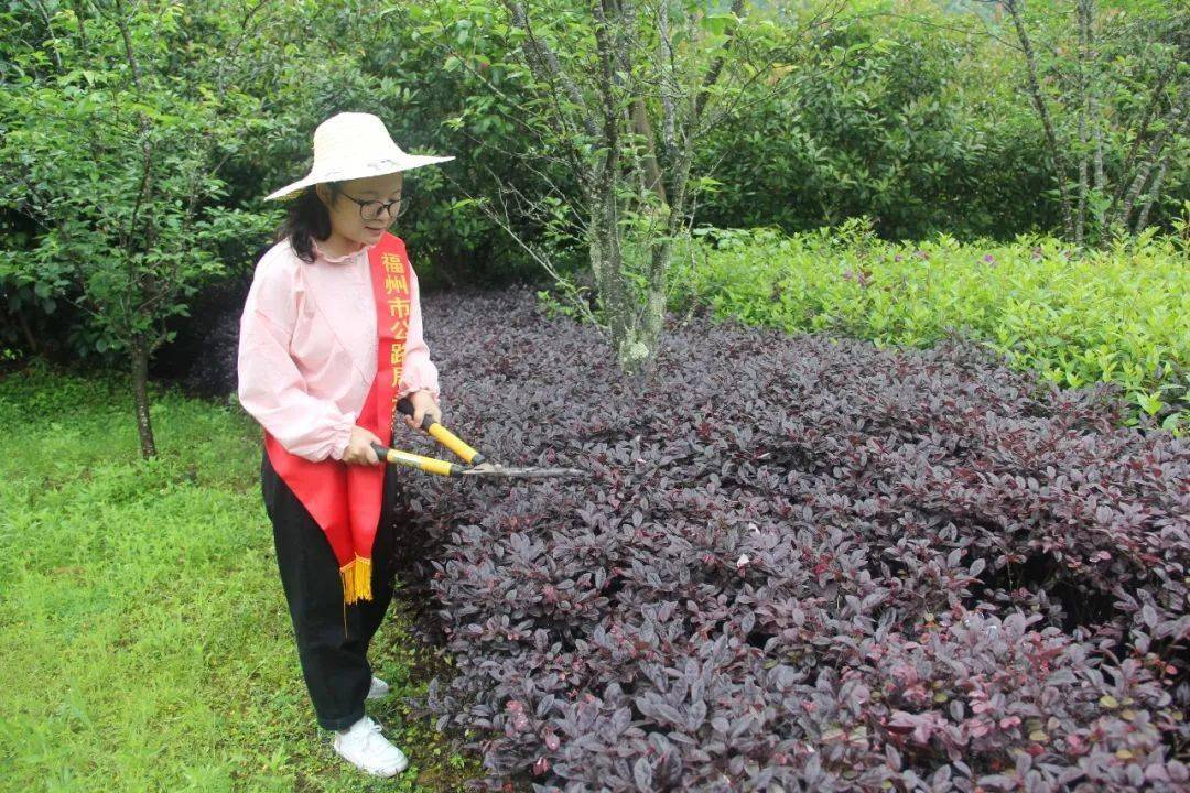 【喜报】永泰公路中心夏桂清同志荣获福州市优秀共青团员称号
