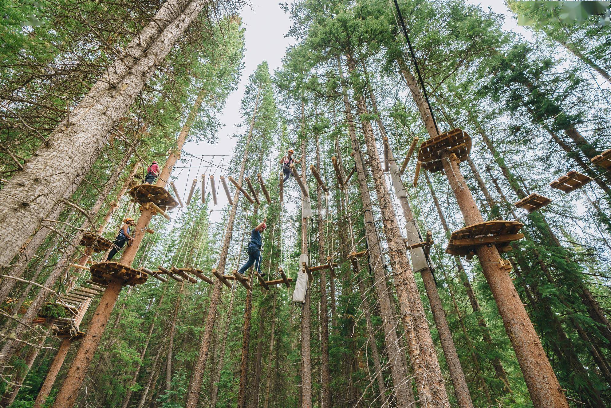 夏日限定美国阿斯本迷失森林的放肆玩法