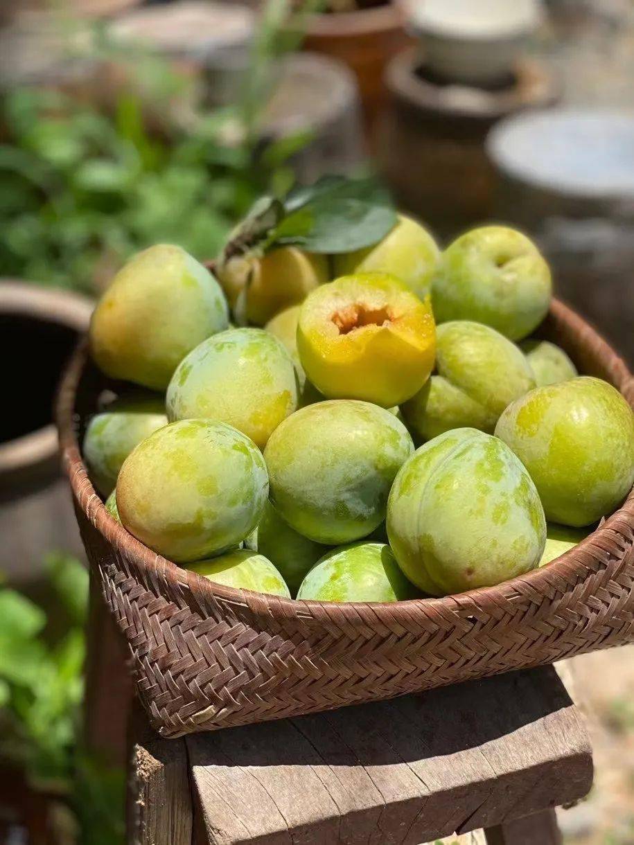 特产福建古田油奈酸甜爽口这是吃过就忘不了的好味道