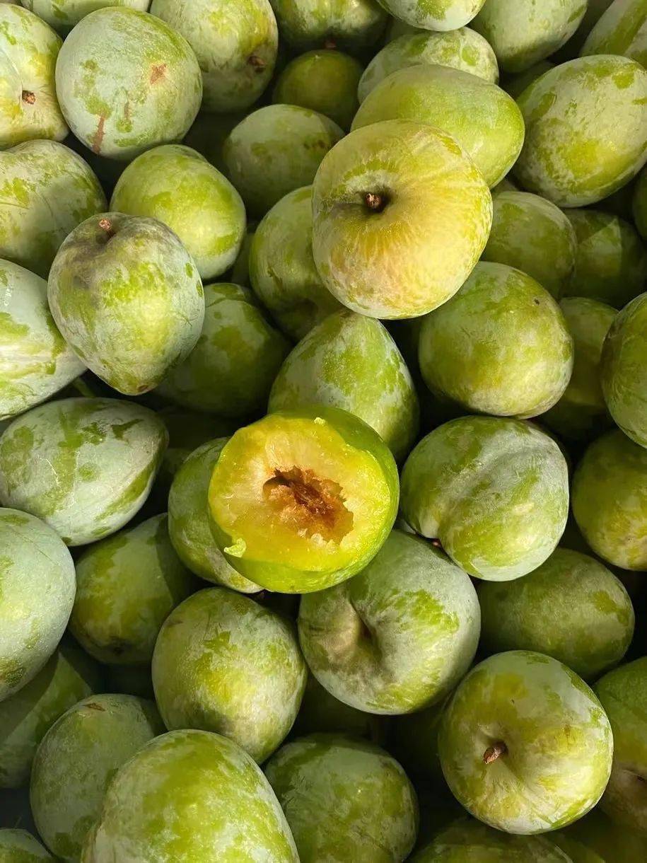 特产福建古田油奈酸甜爽口这是吃过就忘不了的好味道