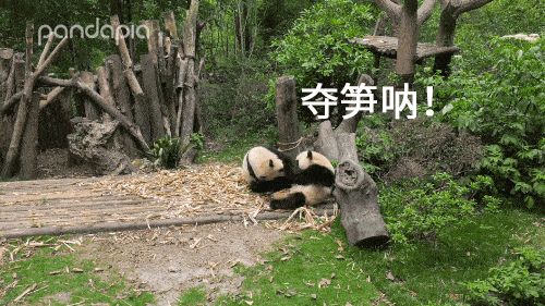500_281gif 动态图 动图