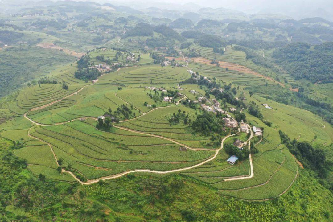 茅坝商家黄页