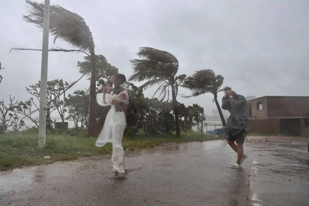 在廣東的平江人注意今年首個登粵颱風登陸陽江最大風力12級未來幾天