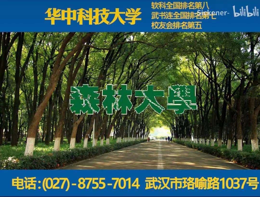 野猪小蛇随你撸 华中科大学生自制 土味招生广告 走红 升学 恒艾教育