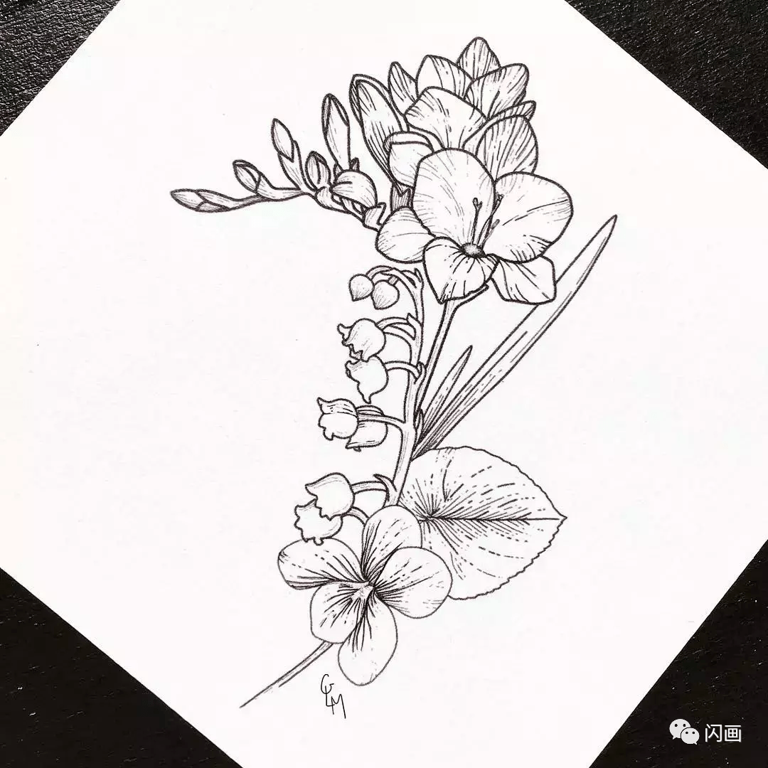 适合夏天的花卉绿植手绘,练起来吧!_ins