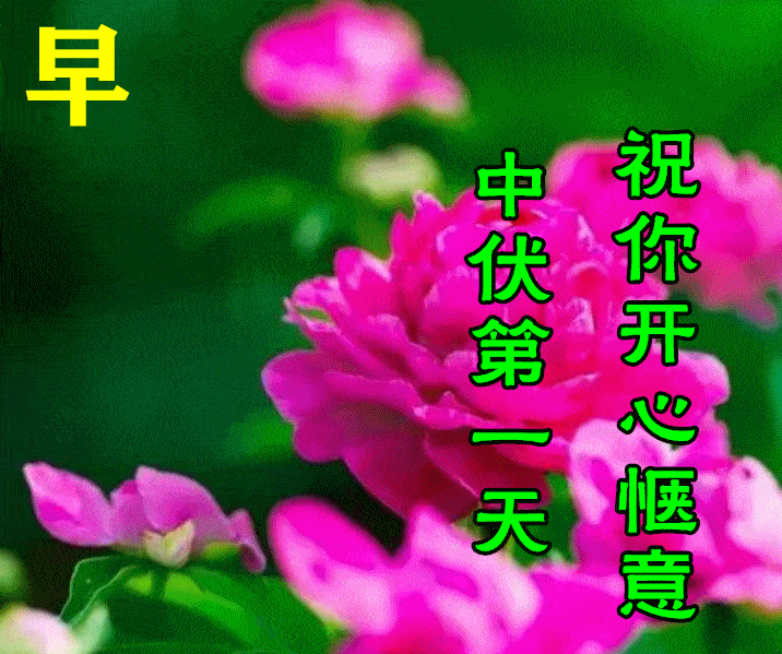 716_599gif 动态图 动图