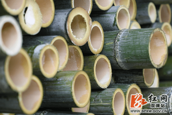 双牌何家洞镇：赋能“竹资源” 做强“竹产业”