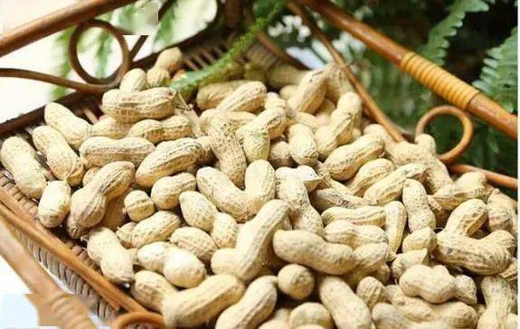 蔬果|嘴馋想吃零食又怕不健康?推荐这5种健康与美味并存的小零食~