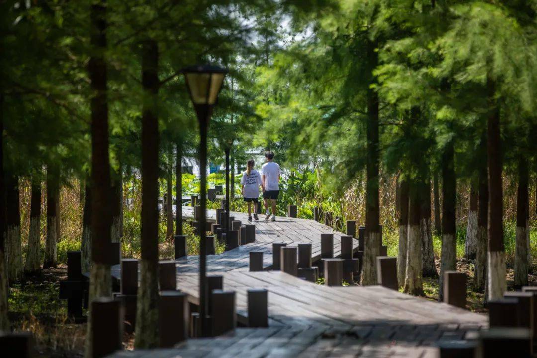 龙灵山景区顺利通过国家4a级旅游景区质量景观评审