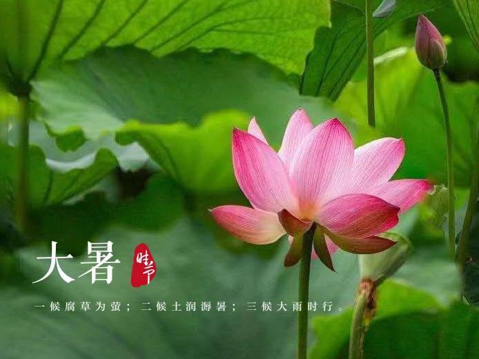 图片 今日大暑,台风"烟花"路径未定,上海将迎大风暴雨