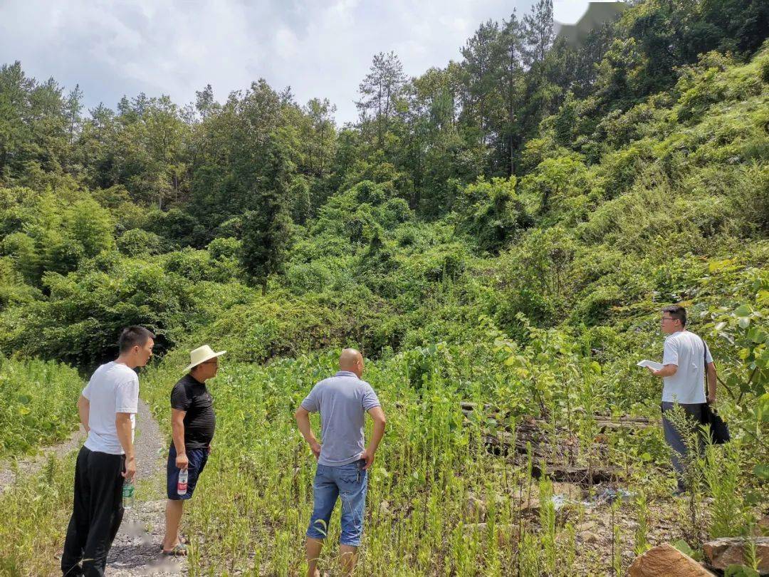 万源市青花镇"三举措"提升基层治理能力和治理水平