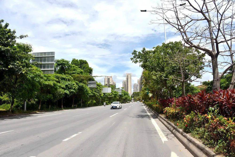 电白城区7月份主次干道,交通岗网络评选活动开始,等你来投票!