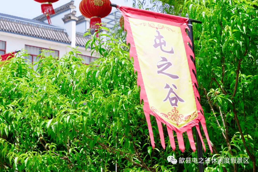 每天9:00-21:00(风雨不改,全天开放)79景区地址:歙县屯之谷(黄山市