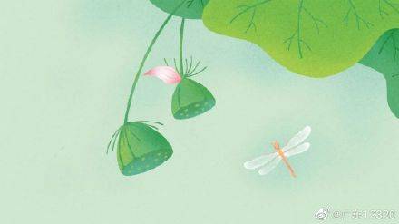 阳气|大暑适宜冬病夏治