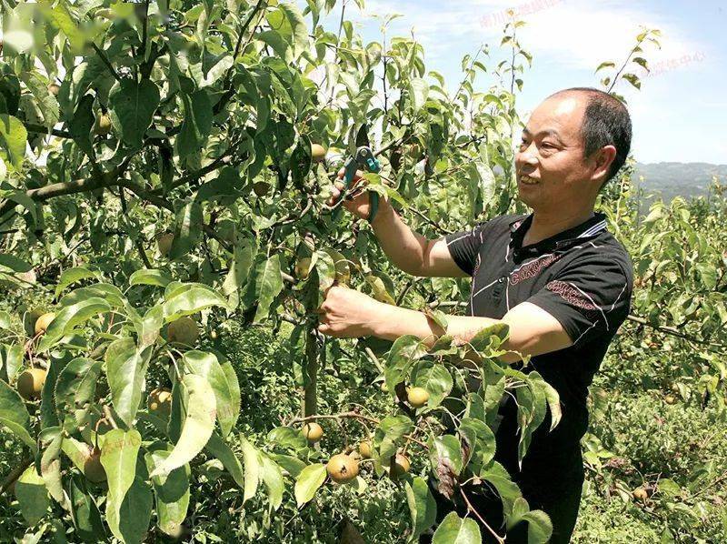 小康圆梦︱熊国林：盐井梯田边上的梦开云APP 开云官网入口想家园(图2)