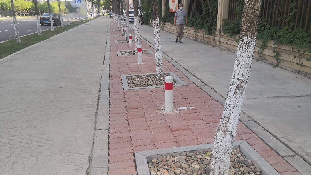 为阻止车主在树木间停车这段百米人行道上设置了数十个挡车桩