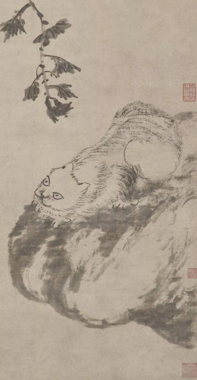 八大山人画的这些猫,你见过吗?