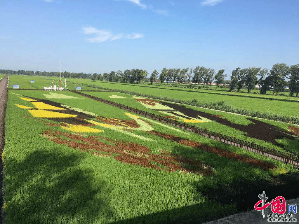 保卫黑土地筑牢大粮仓借助科技农业现代化发展松原国营农场的大变身