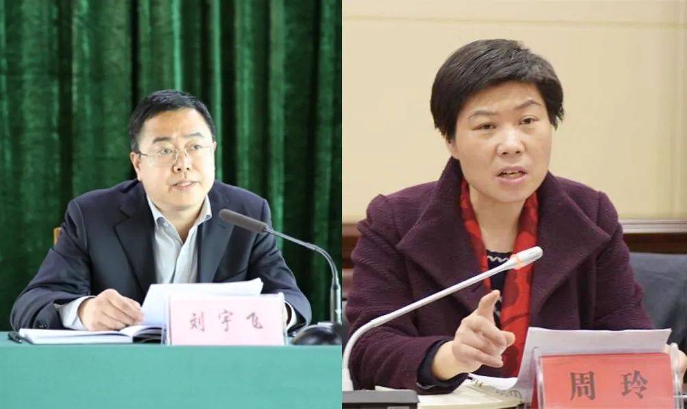 免去区委书记职务;给予张湾区委副书记,区长周玲党内严重警告处分