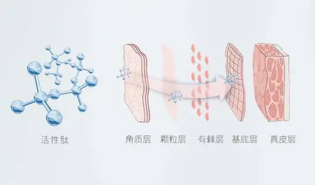 祛痘|祛痘凝胶 拯救「爆痘」肌肤