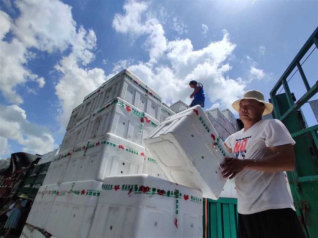 7月23日,刚到江杨市场的精品西红柿正在被卸货.