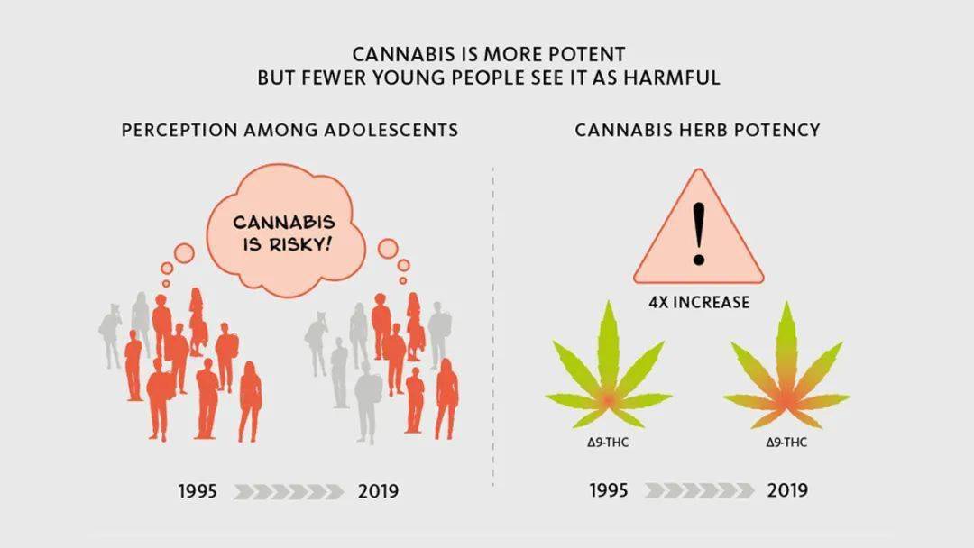 全球吸毒人数达275亿青少年却低估大麻危险性