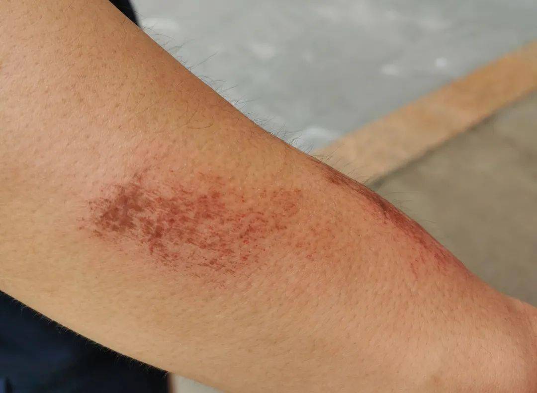 没有从天而降的英雄,只有挺身而出的凡人