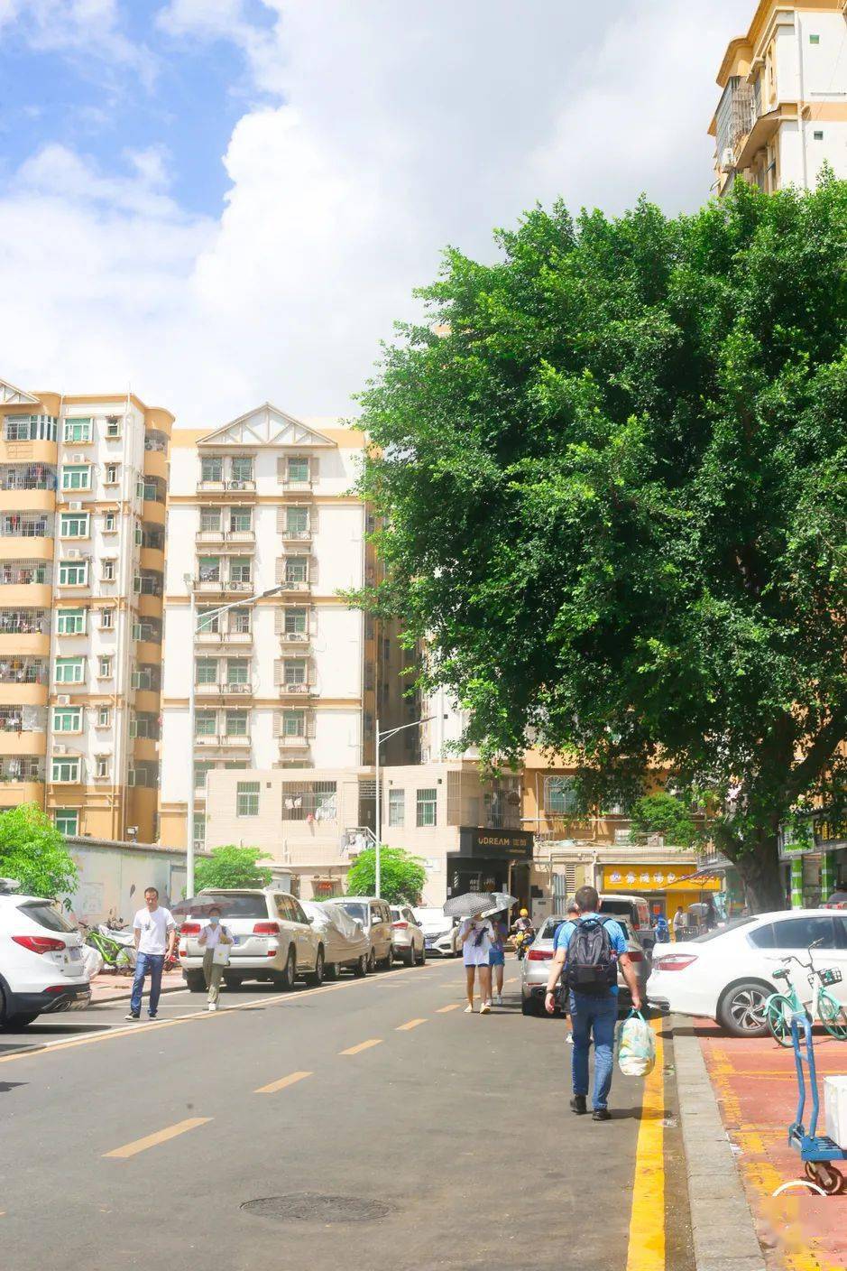 偷偷去完茶光村后我后悔了