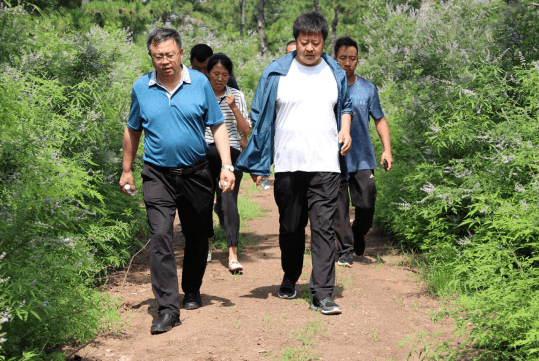 凌源市高端網站建設_(2021年凌源市建設項目)