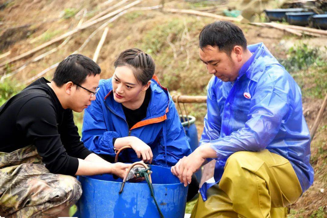 明晚2200播出央视我的美丽乡村走进九江南金村