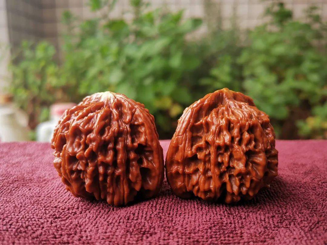 72个月您就盘了这对黄尖的核桃换我早扔了