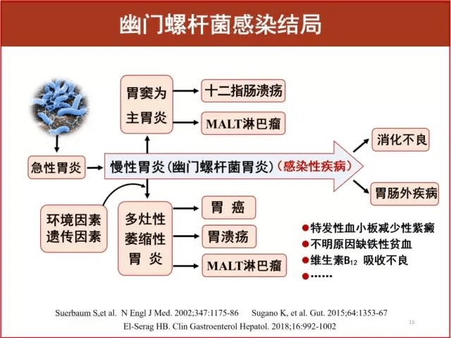 幽门螺杆菌水果克星_幽门螺旋杆菌水果克星_胃幽门螺杆菌最怕三种水果