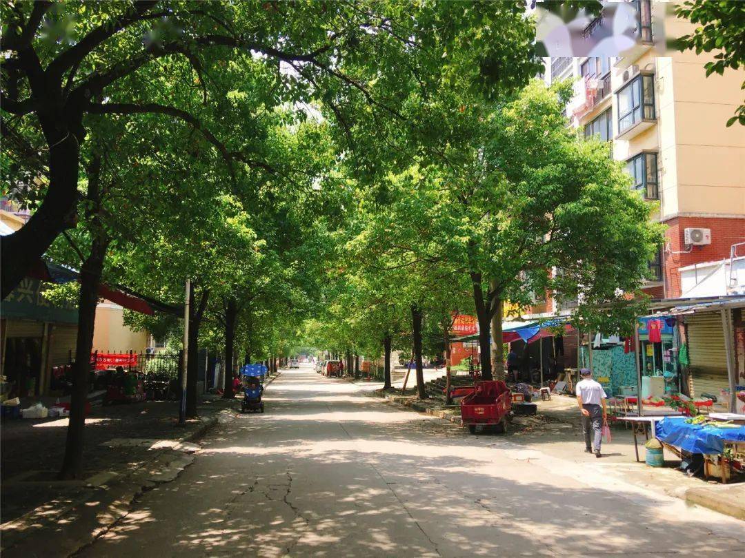 在一个车流量不亚于纸金路的巷陌,有一所小学,全称"江夏区郑店街道