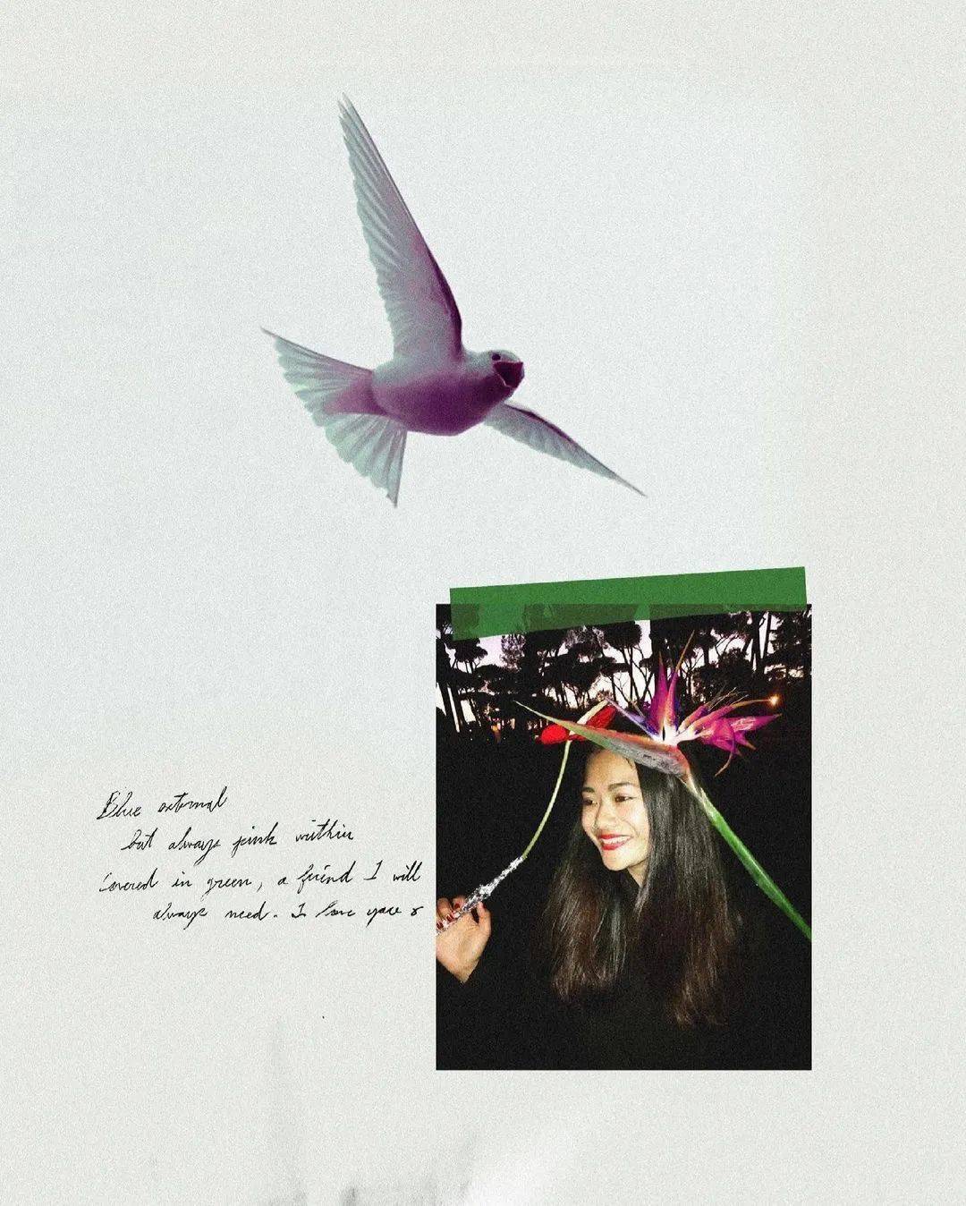 服装|灵感元素｜源自燕子的浪漫设计