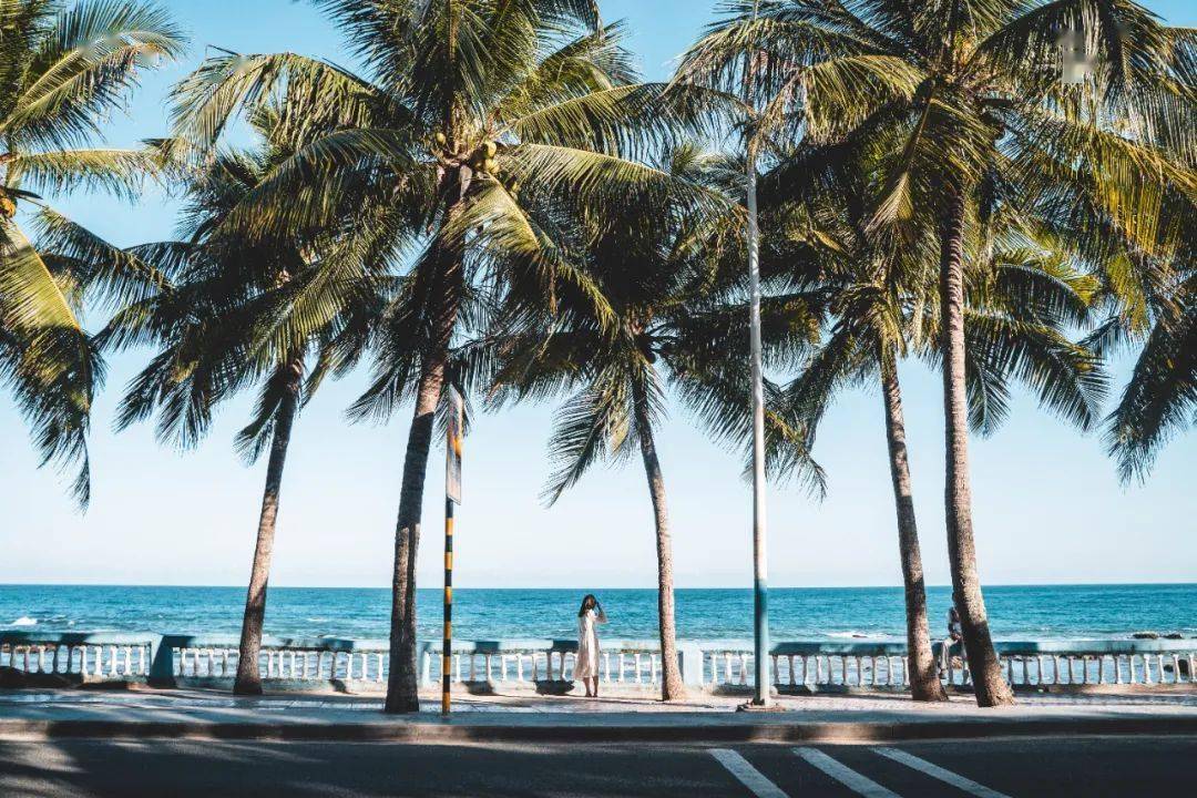 你眼中的夏天,是什么样的?